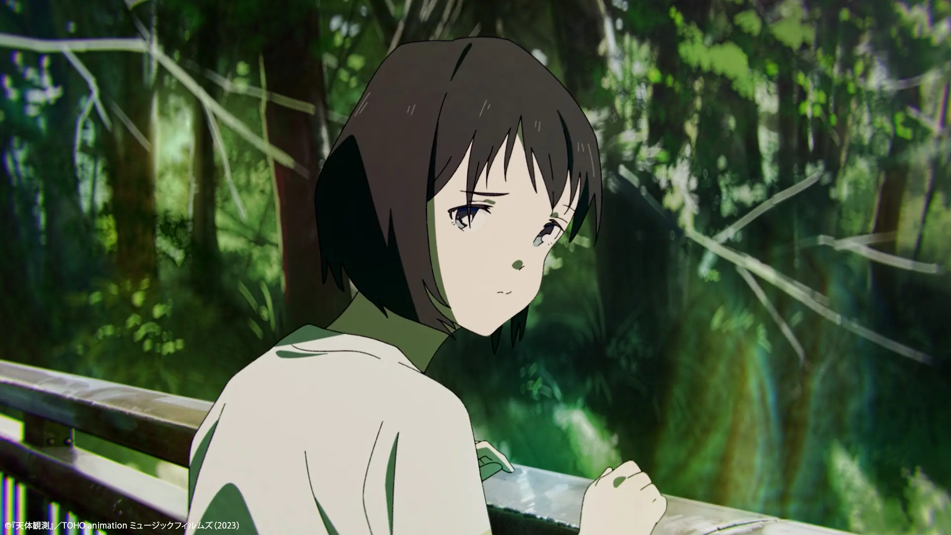 loundraw × BUMP OF CHICKEN「天体観測」TOHO animation ミュージックフィルムズ: screenshot